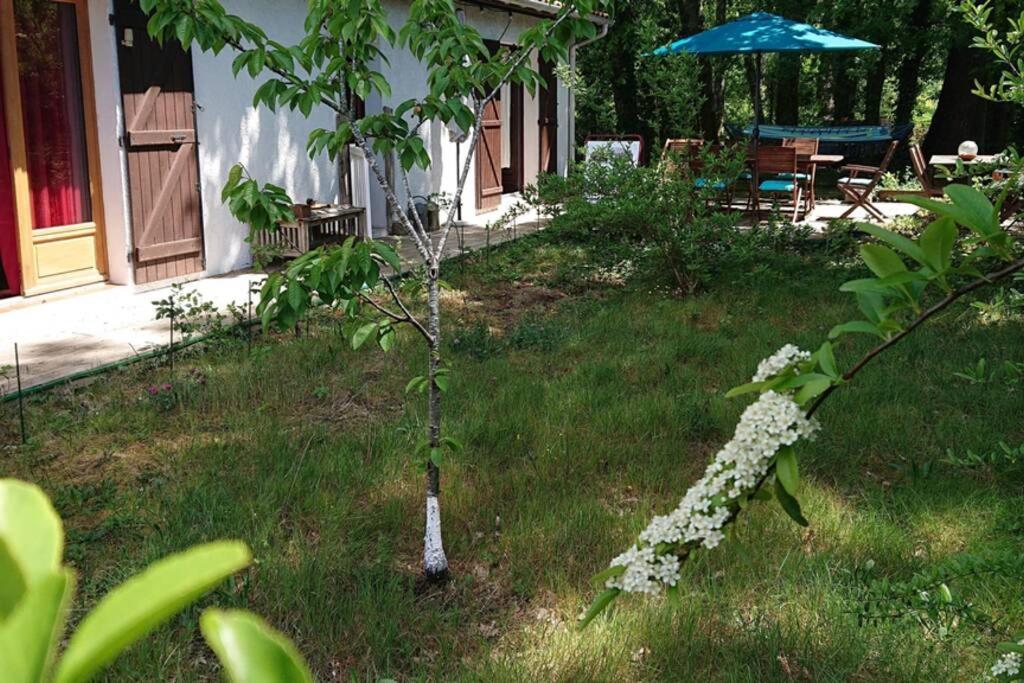 Villa Azurine Andernos Les Bains Exteriör bild